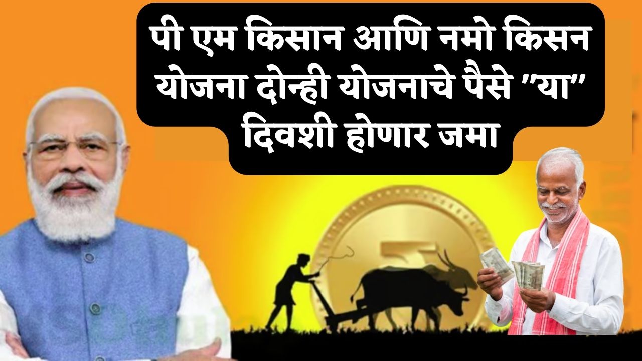 pm kisan and namo kisan payment